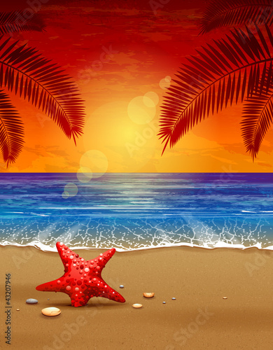 Vector: Sea sunset vector illustration. Paradise beach. Sea sunset vector illustration. Paradise beach.