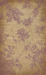 Old rose illustration