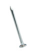 Foto: Galvanized nail Galvanized nail
