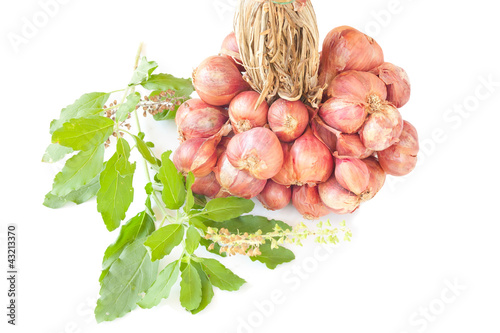 Photo: shallot onions in a group and basil leaves isolated over white b shallot onions in a group and basil leaves isolated over white b