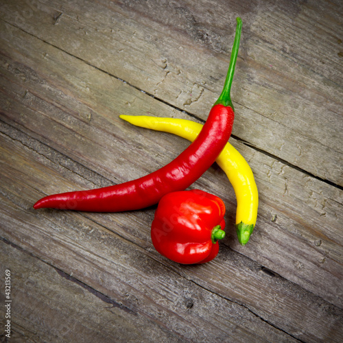 Photo: dreierlei Chili dreierlei Chili