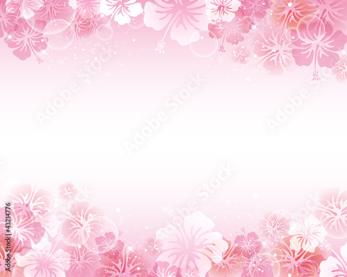 Vector: hibiscuses background hibiscuses background