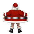 Santa Flashing