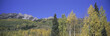 Photo: Panoramic of autumn color with mountains in background near Crested Butte Colorado Panoramic of autumn color with mountains in background near Crested Butte Colorado