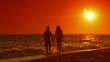 Video: Couple Walking Along Summer Beach at Sunset Couple Walking Along Summer Beach at Sunset
