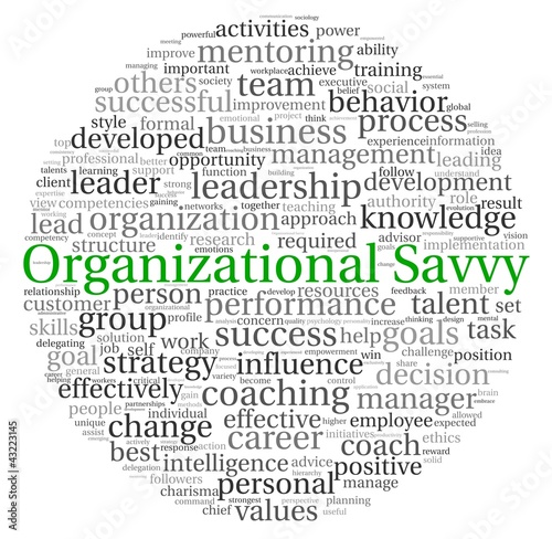 Illustration: Organizational Savvy concept in word tag cloud Organizational Savvy concept in word tag cloud