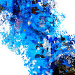 splash paint