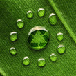 Photo: Water drops on leaf and recycle logo Water drops on leaf and recycle logo