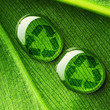 Ilustración: Water drops on leaf and recycle logo Water drops on leaf and recycle logo
