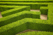 geometric pattern of green hedge flowerbed