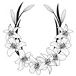 lily frame