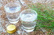 Kümmel und Kümmelschnaps