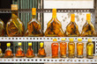 Bottles with snakes and scorpions