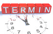 TERMIN