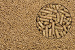 Close-up on animal food