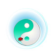 yin yang - zeichen mit marienkäfer