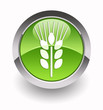 "Cereal" glossy icon