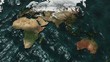 3D Map Zoom to Australia NO Sun or Clouds