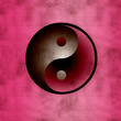 Yin Yang 2