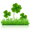 Vector: Green Grass With Clover Green Grass With Clover
