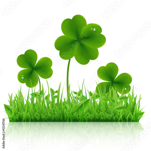 Vector: Green Grass With Clover Green Grass With Clover
