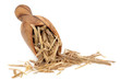 Ginseng