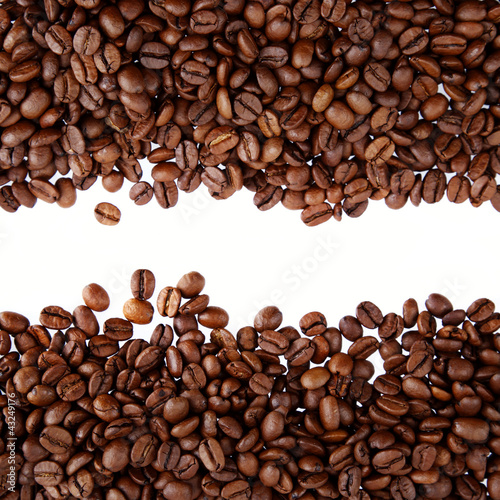 Photo: Coffee beans on plain background Coffee beans on plain background