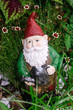 Garden gnome