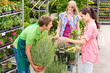 Photo: Garden centre salesman offer potted plant Garden centre salesman offer potted plant