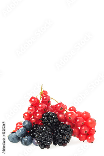 Photo: Beerenfrüchte Beerenfrüchte