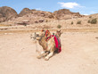 Petra, one of the seven wonders of the world, Jordan.