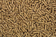 Close-up on animal food