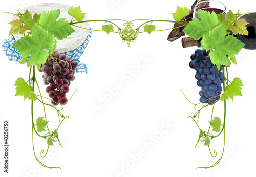 Foto: raisin rose, raisin noir, vigne, vin, fromage raisin rose, raisin noir, vigne, vin, fromage
