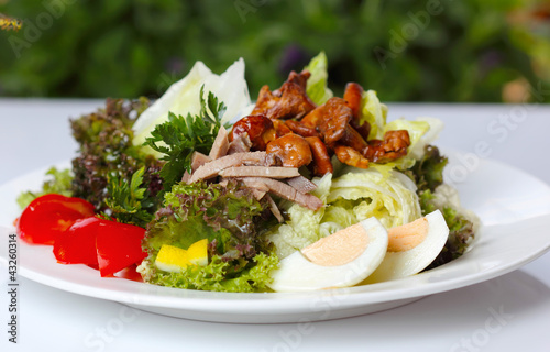 Photo: Delicious salad with greens and mushrooms Delicious salad with greens and mushrooms