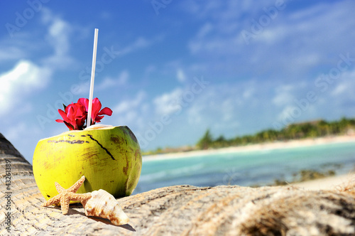 Photo: coconuts on the beach coconuts on the beach