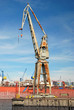 big harbour crane