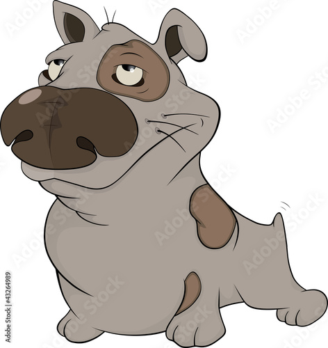 Vector: The hunting dog. Cartoon The hunting dog. Cartoon