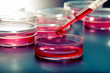 Photo: Pipette and petri dishes Pipette and petri dishes