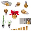 Traditional glass bulb with many golden coins collection