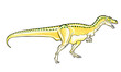 Tyrannosaurus