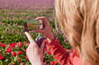 Taking pictures in Holland