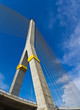 Rama VIII bridge in Bangkok from thailand