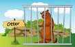 otter in cage