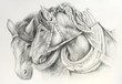 Cart horses
