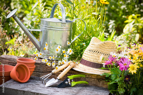 Photo: Gardening Gardening