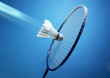 Badminton, shuttlecock