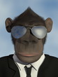 Mr.Monkey - Portrait with sunglasses