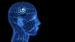Spiral pattern of lights mapped onto a head and shoulders.