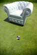 Foto: Club armchair in a golf green Club armchair in a golf green