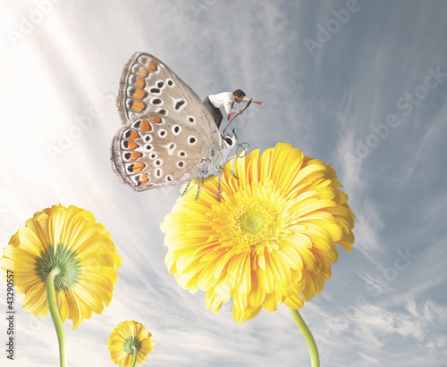 Photo: Businessman escapes with a butterfly Businessman escapes with a butterfly
